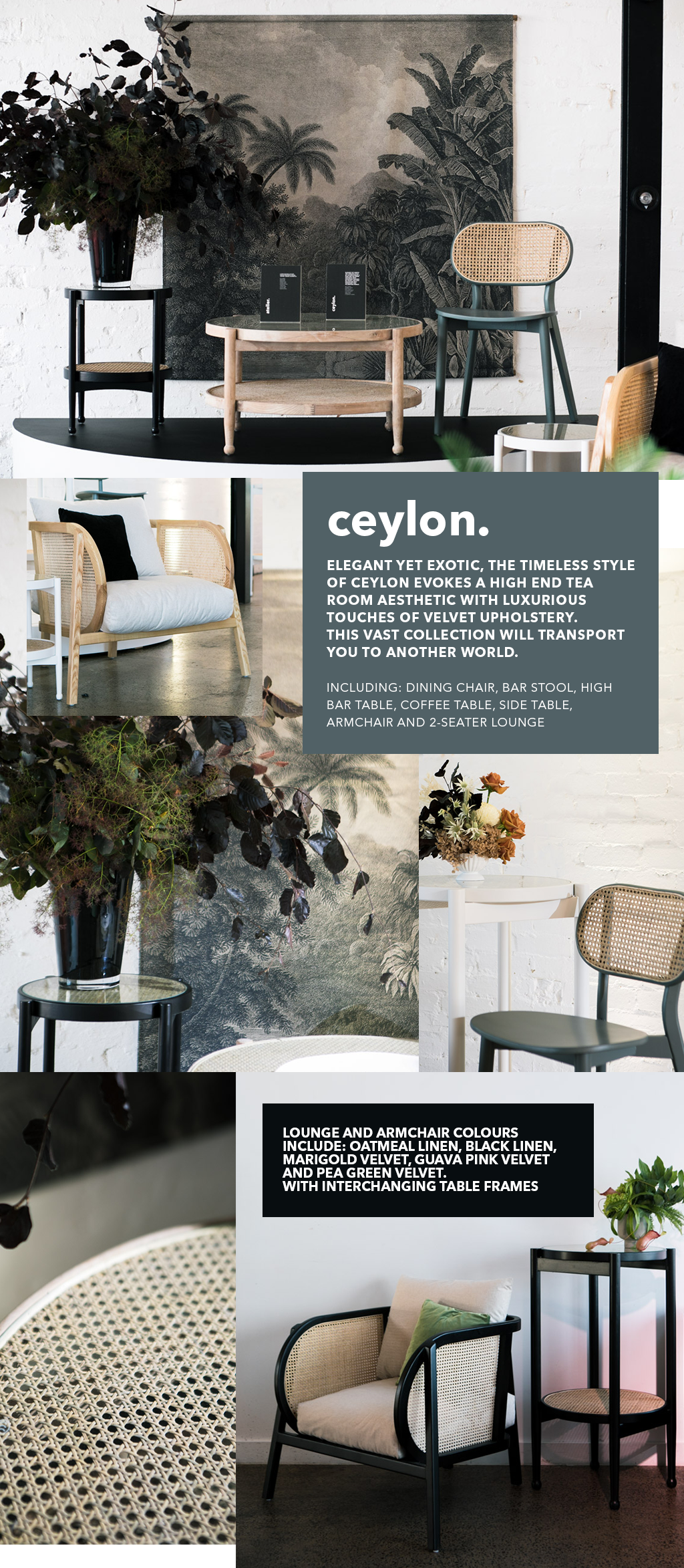 DEH NEW COLLECTION LAUNCH_CEYLON